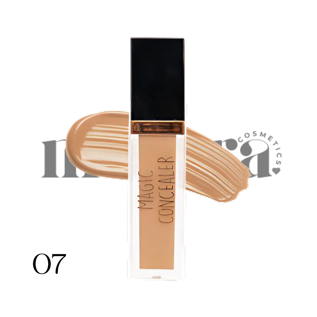 Magic Concealer Professional Corrector